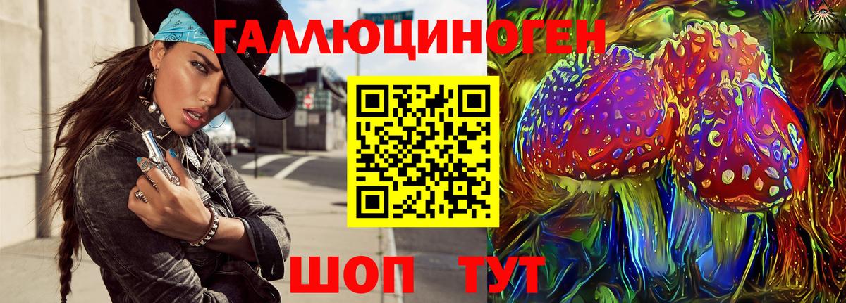 Галлюциногенные грибы Cubensis Ефремов