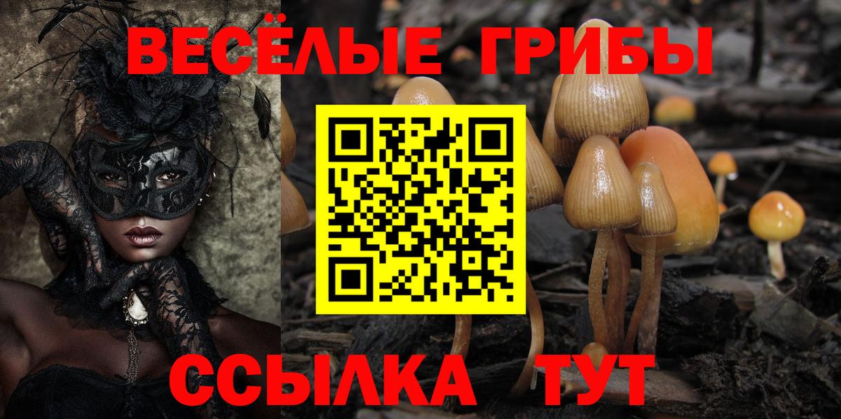 Галлюциногенные грибы ЛСД  Вход с VPN  закладка  Псилоцибиновые грибы Cubensis  Ефремов 